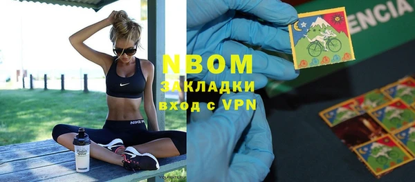 хмурый Инта