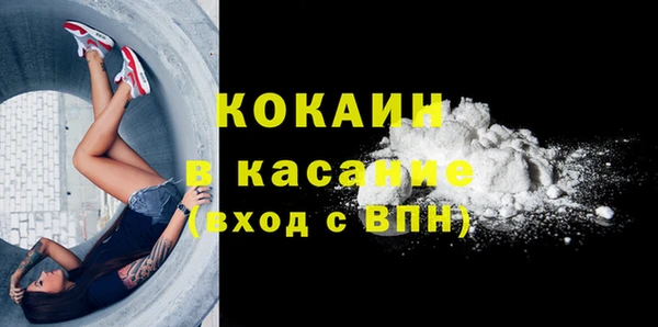 хмурый Инта