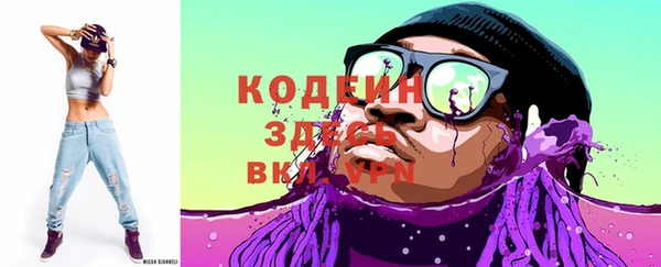 хмурый Инта