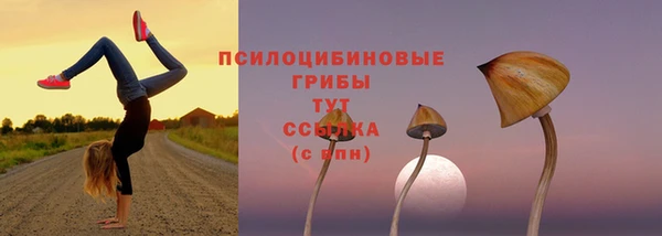 хмурый Инта