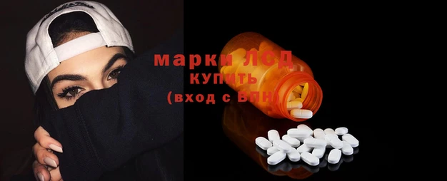 хмурый Инта