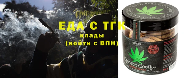 хмурый Инта